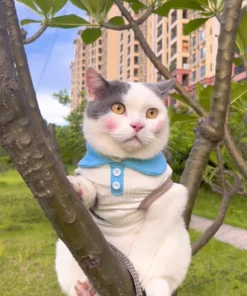 S55755a717cca4b9893ed183c96bb417aM