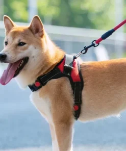 Alternative view of (Pets Dogs) Strong Reflective Dog Leash – 59" Heavy-Duty Nylon Lead for All Dog Sizes