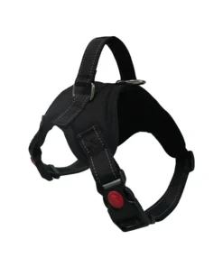 S62a4c7f372834579aba69128f5ebac0du 1