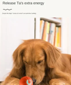 S64f457c22fec4cc6a4e6a76567f750f8C