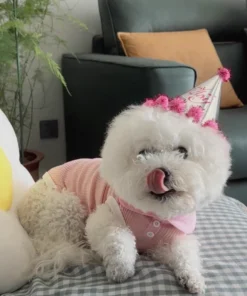 S67479a9534664f46811078754b37d493B