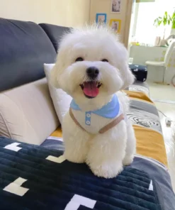 S68ff092f22244766b258c9aab0c02f65Y