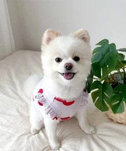 S6d428783443c4d049a986ae0b33bedf2B