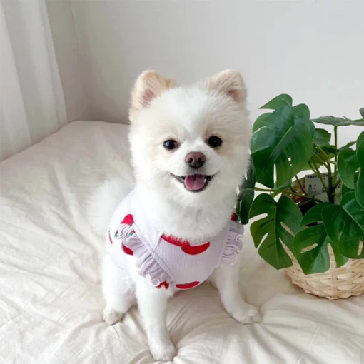 Lightweight Summer Dog Vest Shirt – Cute Cotton T-Shirt for Small Dogs & Cats (Chihuahua, Yorkie, French Bulldog) - Image 6
