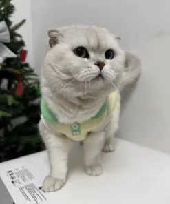 S725178e1d1ca498d96db24dc493f447dY