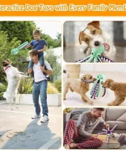 S761711e27c904730a2cf04348accde67W 1