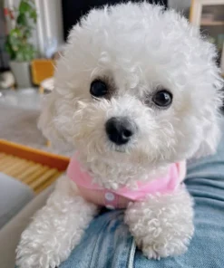 S76e96b7659634971ba7f9d24ecd31cc4R