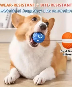 S844f1901b9de4e7ebda1069fb3a85775m