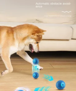 S896dcc70acf64f3ea5abde756622961dD