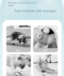 S89808b4ba2564b268995eb65f6fd72adS