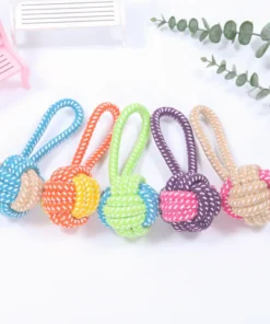 S933613e25c1e4d19b8937c2585be1e57j 1