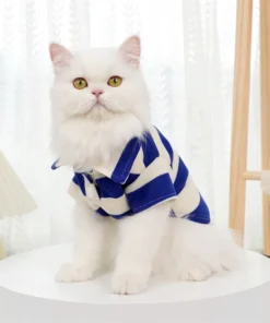 S96315c92fa6244cab45d2dea5ead76303