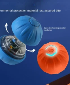 S975b4a209fad4e2785ef1784308196f9v