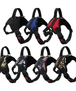 S97bd9a790f674b65a42360b1ddf2ad0eG