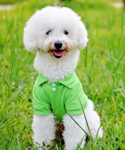 S98fa9aff43464495ad6c2c47099b4599d