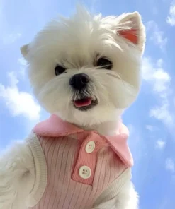 S9aab1c879a4847e88daa341f4b593179Z