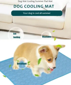 S9b3d2958129a40cf8b813520f6d277b8h 2