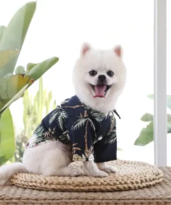 S9b40141c2ab74672a364ed600da449782