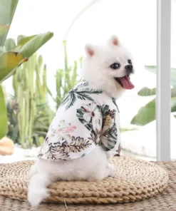 S9ce8b8e5c1844b0dab11f5fb56617376x