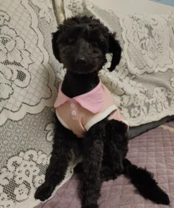 S9e412cf5c0d24ac5824599031edaee9fh