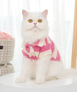 S9e4efe7a7a0d47559ea2725d91b7b87ey