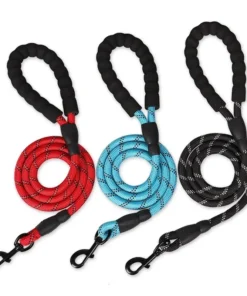 Sa2757f667ed64b86b8418b929115a66ea