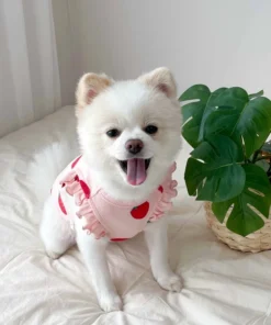 Sa3293832a42043a78296e4a9b58565cf9