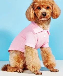 Sa3eaa9a4287048f5869f146c213684e4j