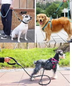 Sa8b0f782b21444a9b302ca9d8ea04cacp