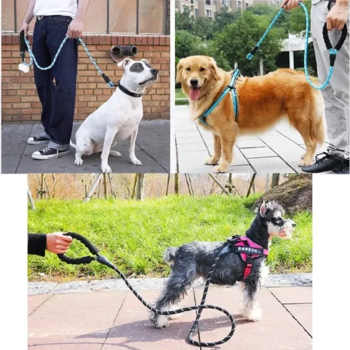 (Pets Dogs) Strong Reflective Dog Leash – 59" Heavy-Duty Nylon Lead for All Dog Sizes - Image 9