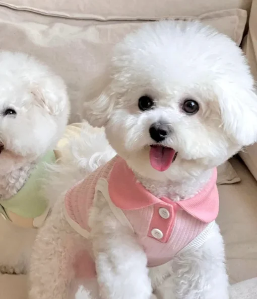 Summer Dog T-shirt Breathable Thin Lapel Dog Vest for Small Medium Dogs Cats Casual Pet Clothes Chihuahua Bichon Teddy Costume - Image 19