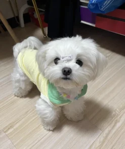 Sabd22d60504947198a2e07e81a9ac90bx