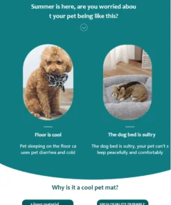 Sad4392809bce412b8c2674574c827257u 2