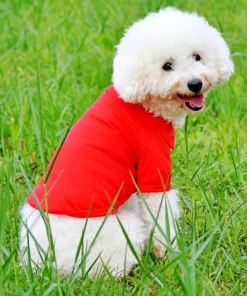 Saef45fa58377463687df209b56ebcc9cy