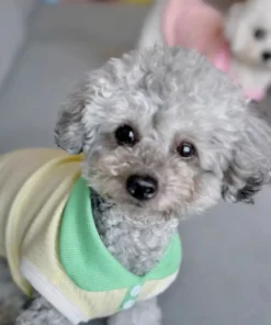 Sb4cbc933567e4c9899f45cc04d50e53an