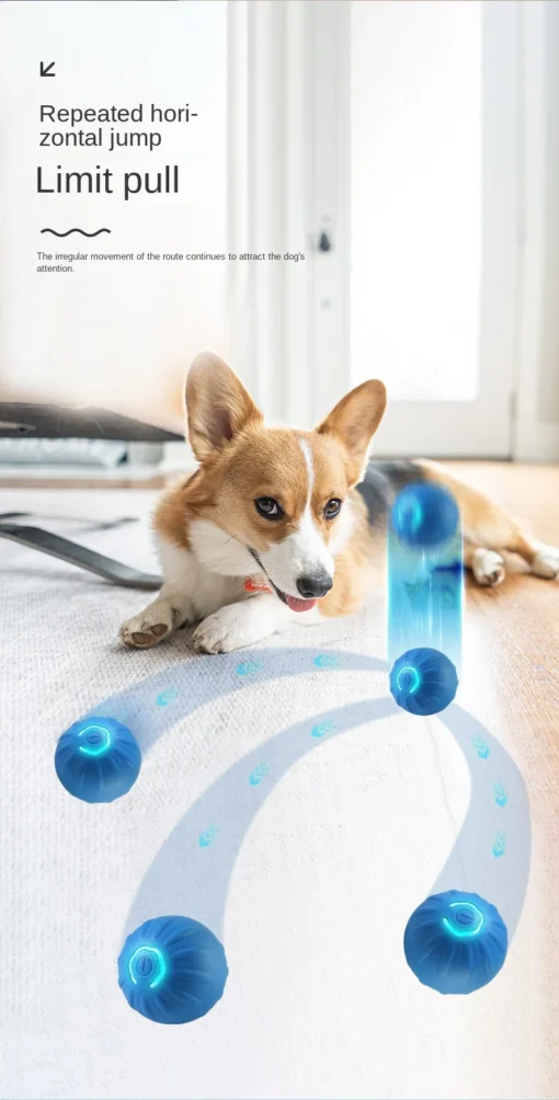 USB Rechargeable Smart Dog Ball – Rotating, Interactive Chew Toy for Small & Medium Dogs - Image 17