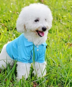 Sbc33c477a5ab4fdbad59d4fe6a2600e98