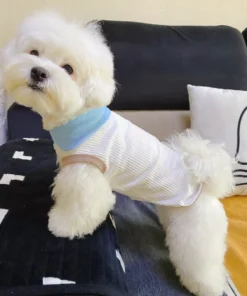 Sc523ffa2a0954af2b22d266efc81233fP