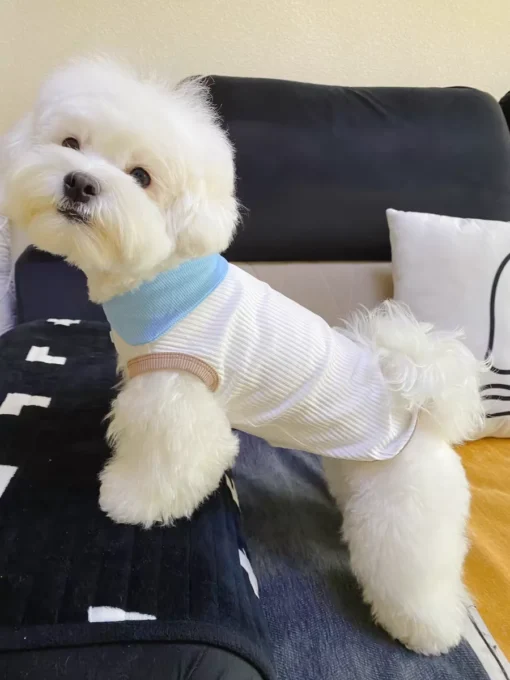 Summer Dog T-shirt Breathable Thin Lapel Dog Vest for Small Medium Dogs Cats Casual Pet Clothes Chihuahua Bichon Teddy Costume - Image 25