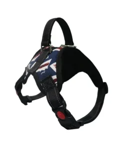 Sc6628ddc0b2e454eac8d8da90d4571c20 1