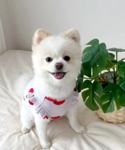 Sd061f1442a044003a5b7e00fcef59a90g