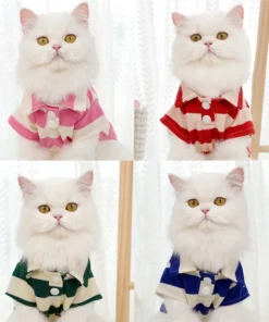 Sd0bdcd278cf74b74994bc060a103f484c