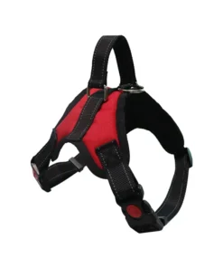 Sd50c9117f59b47809f27b2cef19c81002 1