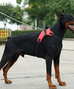 Sd8112b5ae7754391bda9dc7f8a36355fz 1