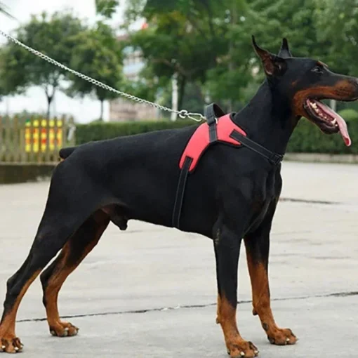 (Pet Dogs) Adjustable No-Pull Dog Harness – Comfortable Oxford Vest for Small to Large Dogs - Image 5
