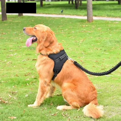 (Pets Dogs) Strong Reflective Dog Leash – 59" Heavy-Duty Nylon Lead for All Dog Sizes - Image 3