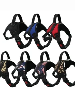 Se18c3786cc844c078730a9916d8ce85ej