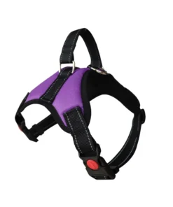 Se4db875dcbf84bde8eafe81849ad75cbd 1