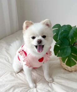 Se65d0d1dea754d82bbf77b20bc88997dG