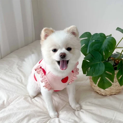 Lightweight Summer Dog Vest Shirt – Cute Cotton T-Shirt for Small Dogs & Cats (Chihuahua, Yorkie, French Bulldog) - Image 3